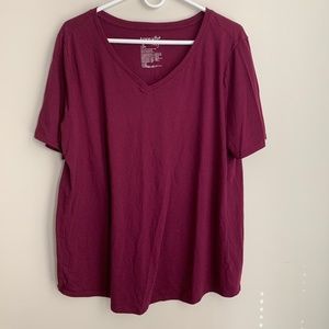 Terra&Sky Women's 0X (14W) Purple Oxford V-Neck